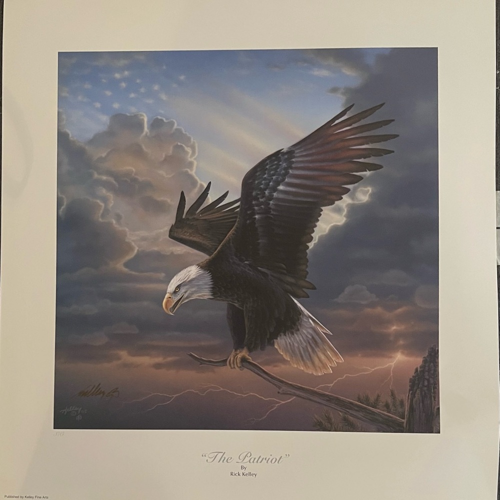 Source Unknown Brown and White Eagle Art Print